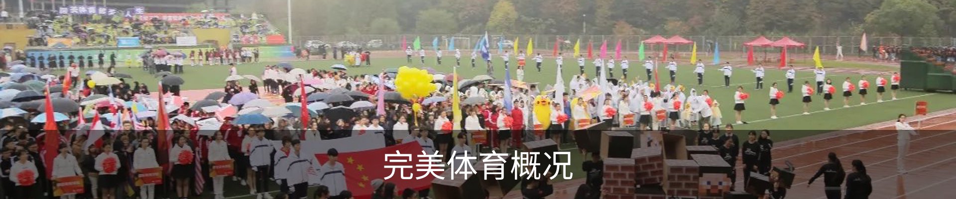 完美体育概况